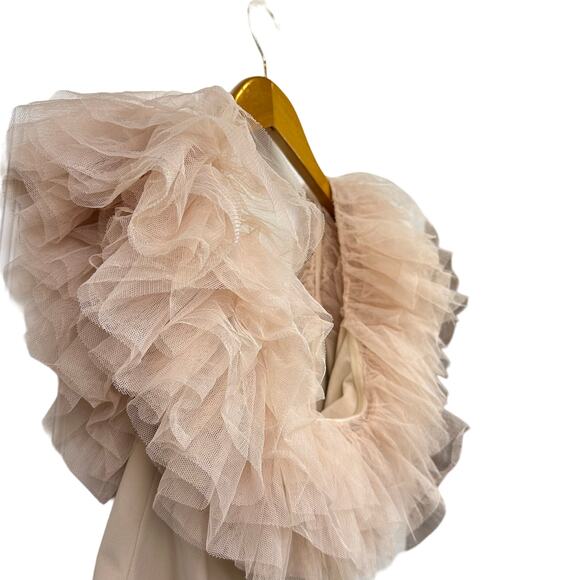 NWT Free People Big Love Pink Tutu Tulle Off the Shoulder Bodysuit Size Large - Picture 10 of 13